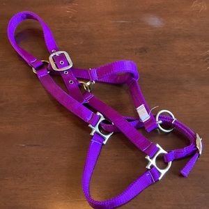 Purple, oversized nylon horse halter